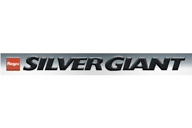 Silver Giant Gas Grill Model SG-8000