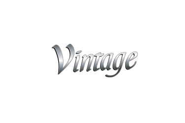 Vintage Gas Grill Model VBQBE-LP